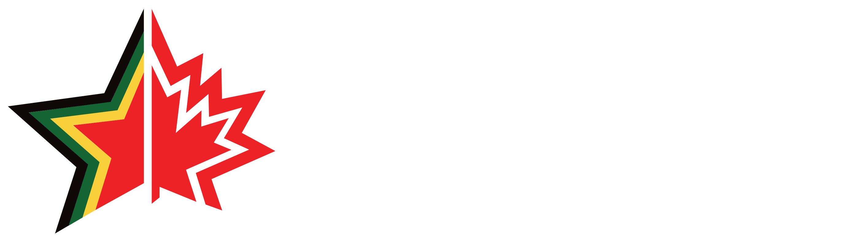 ZIMCAN_HS1_Hztl_Rev
